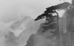 英语翻译项目经理岗位职责