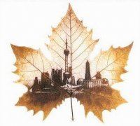 液压设计师岗位职责