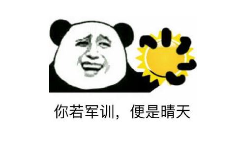 财务运营官岗位职责