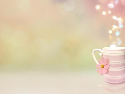 制剂开发岗位职责