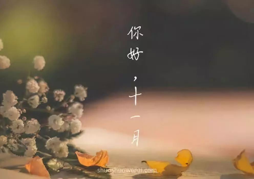 QA质量保证岗位职责