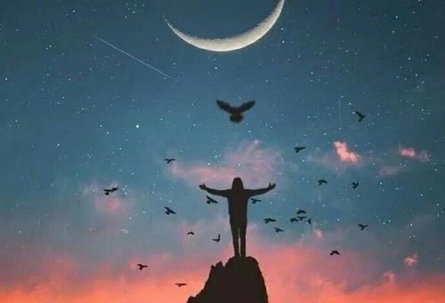 肿瘤研究员岗位职责