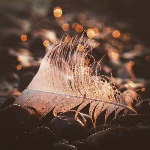 手机终端开发岗位职责