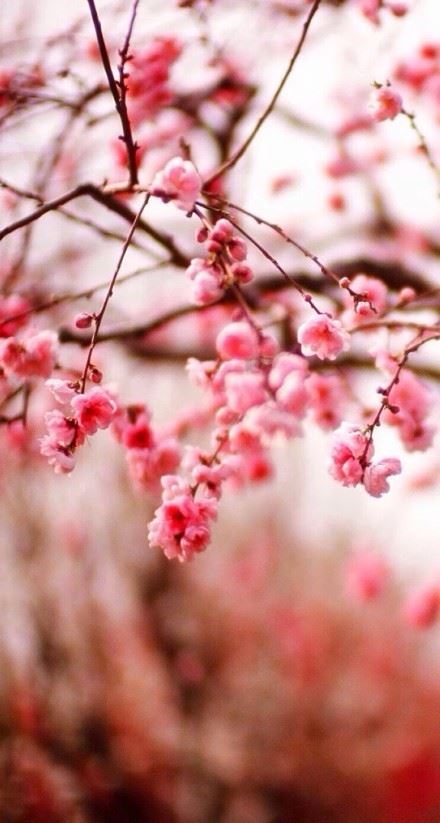 亳州业务代表岗位职责