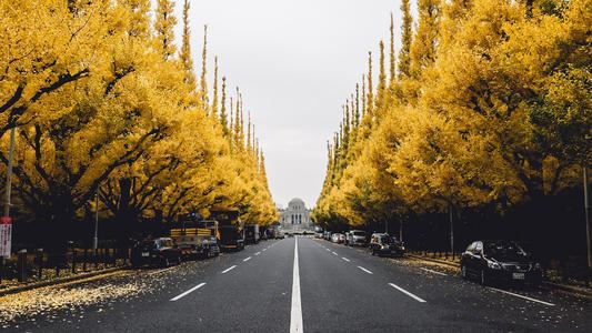 专柜店长岗位职责