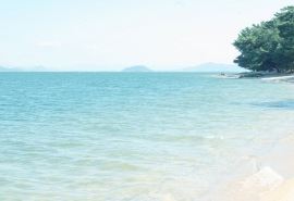 产品优化经理岗位职责