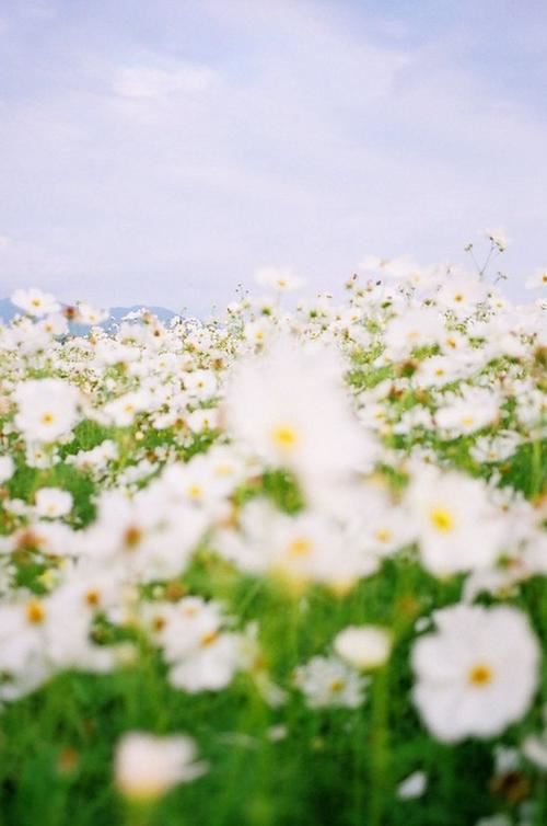 中医讲师岗位职责