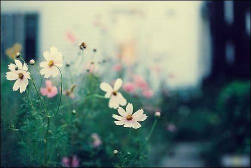 正副总经理岗位职责