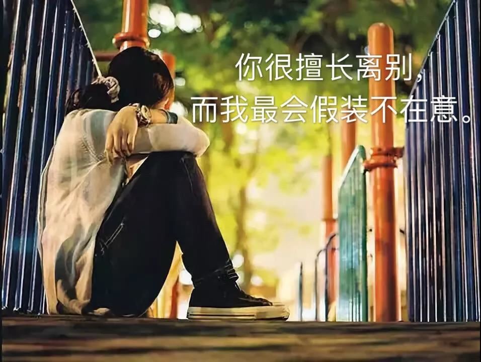 政府采购中心岗位职责