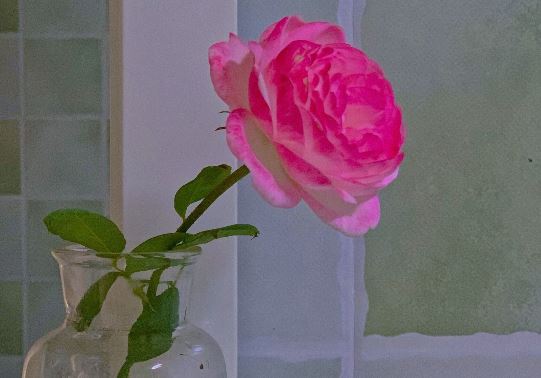 猪场总经理岗位职责