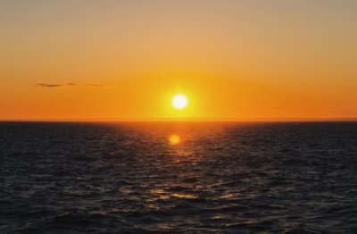 信托运营经理岗位职责