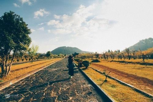 网站优化经理岗位职责