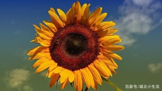 展览展示资深设计师岗位职责