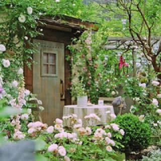 网站主编辑岗位职责