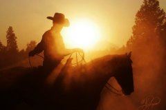 账务总监岗位职责