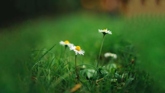 战略规划专员岗位职责