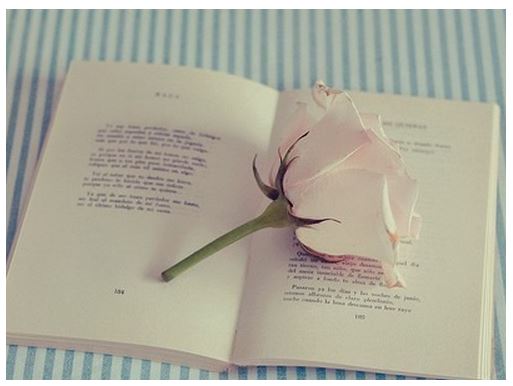 浙江开发主管岗位职责