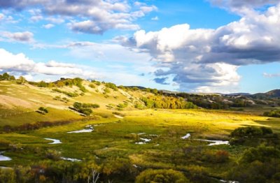 浙江省销售总监岗位职责