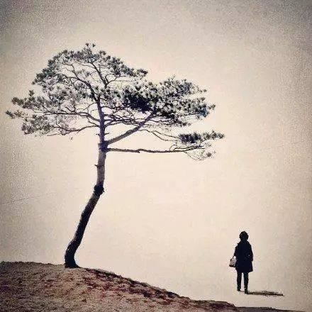 无责任高薪岗位职责