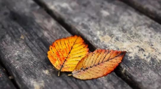 业务部副经理岗位职责