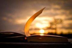 装饰装潢材料公司业务主管岗位职责