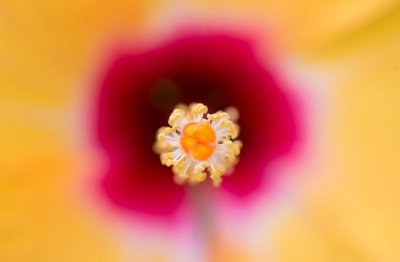 驻场设计师岗位职责