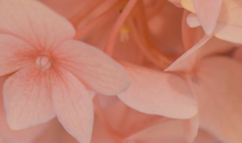 管控咨询项目岗位职责