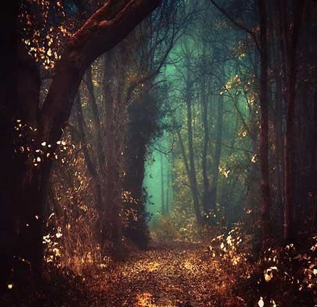 研发营养师岗位职责