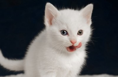 中国区经理岗位职责