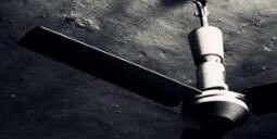 药品研发项目管理岗位职责