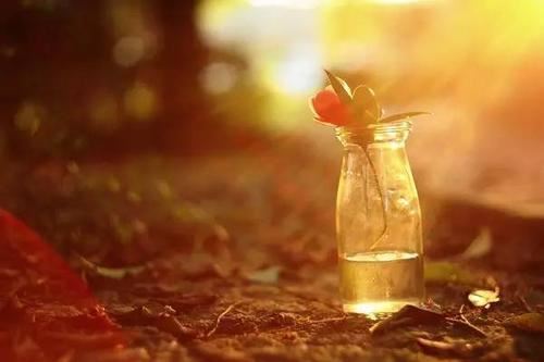 前台接待总机岗位职责