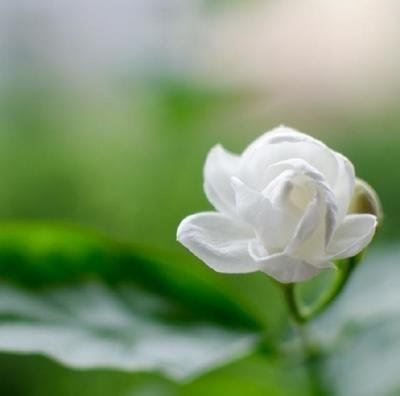 镇江会计岗位职责