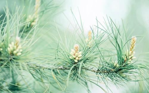 社区运营管理岗位职责