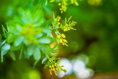 销售预定岗位职责