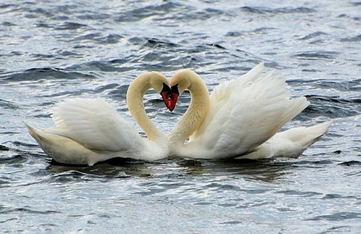 高级战略研究员岗位职责