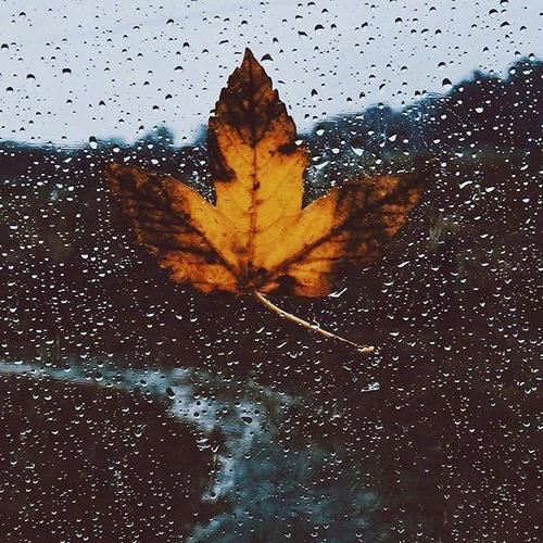 金融支付项目岗位职责