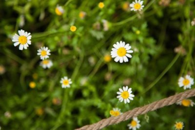 聘英语翻译岗位职责