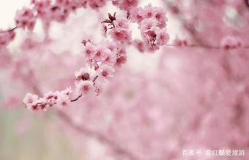 机械设计总工岗位职责