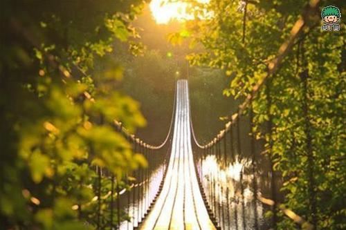 照明设计经理岗位职责