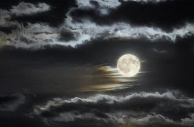 装设计经理岗位职责