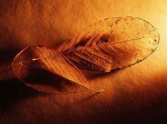 债权部经理岗位职责