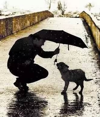 账务管理专员岗位职责