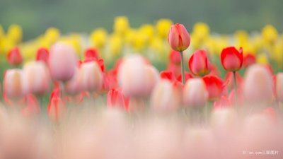 智能化产品岗位职责