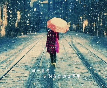 行政资质专员岗位职责