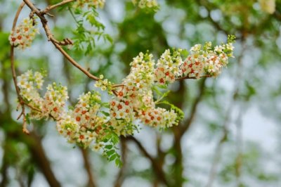 组团业务岗位职责