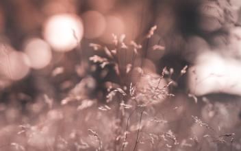 直播运营专员岗位职责