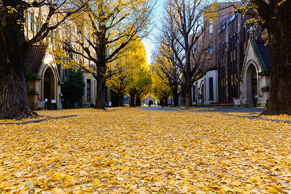 离职养老保险怎么办？