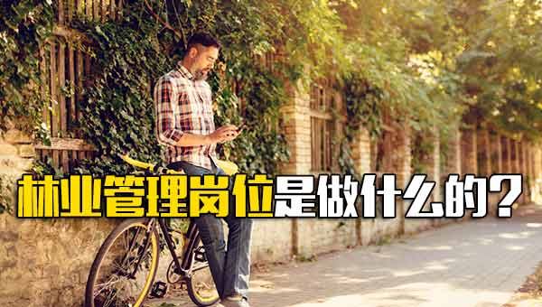 林业管理岗位是做什么的？