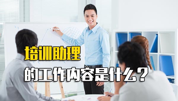 培训助理的工作内容是什么？