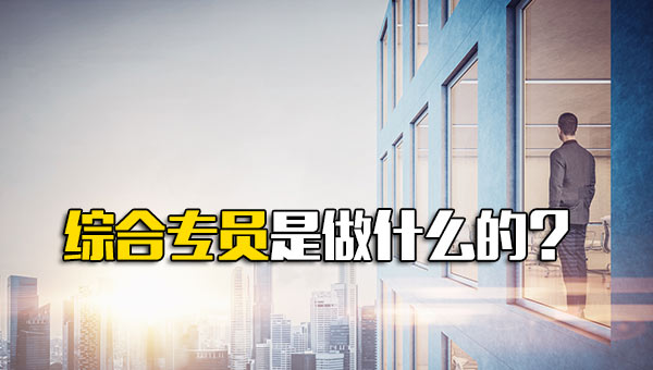 综合专员是做什么的